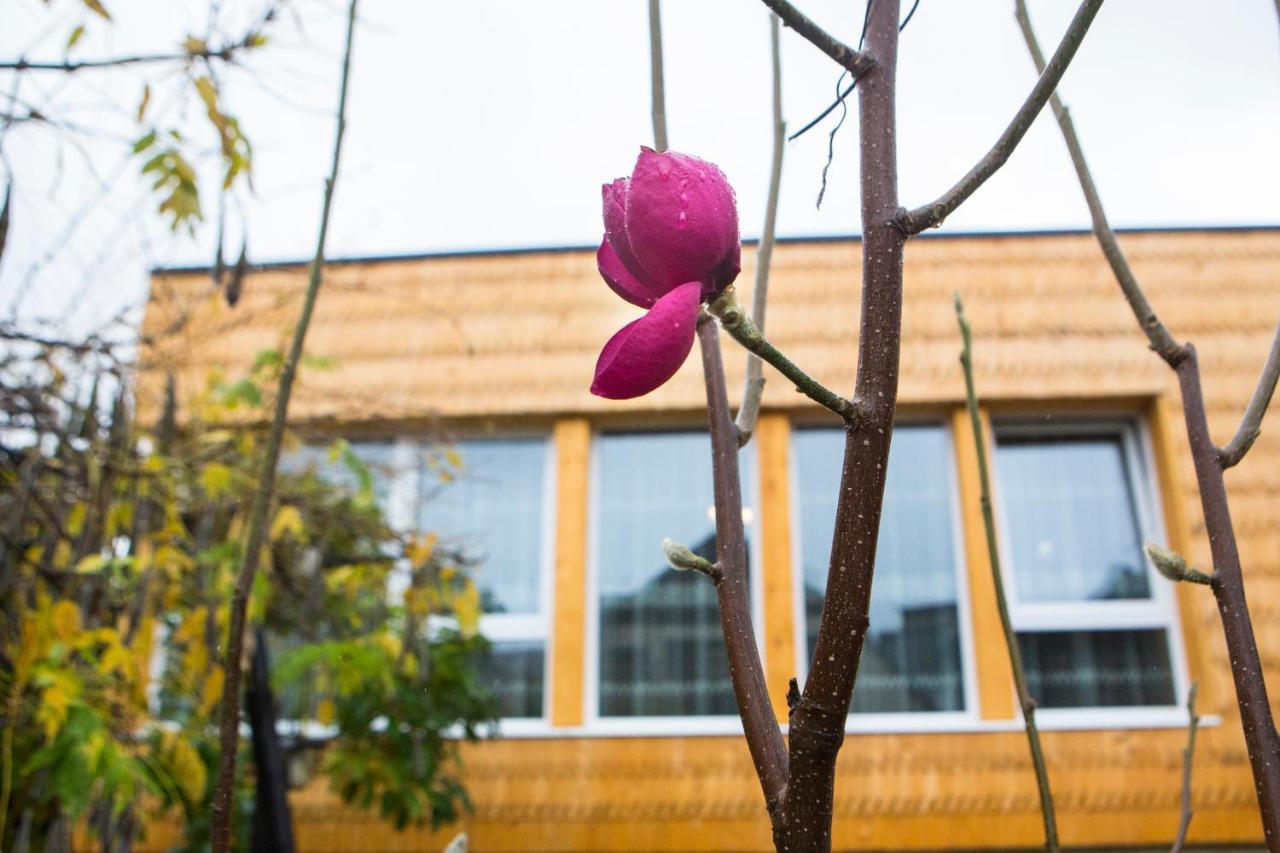 Готель Casa Cu Magnolii Поєніле-Ізей Екстер'єр фото