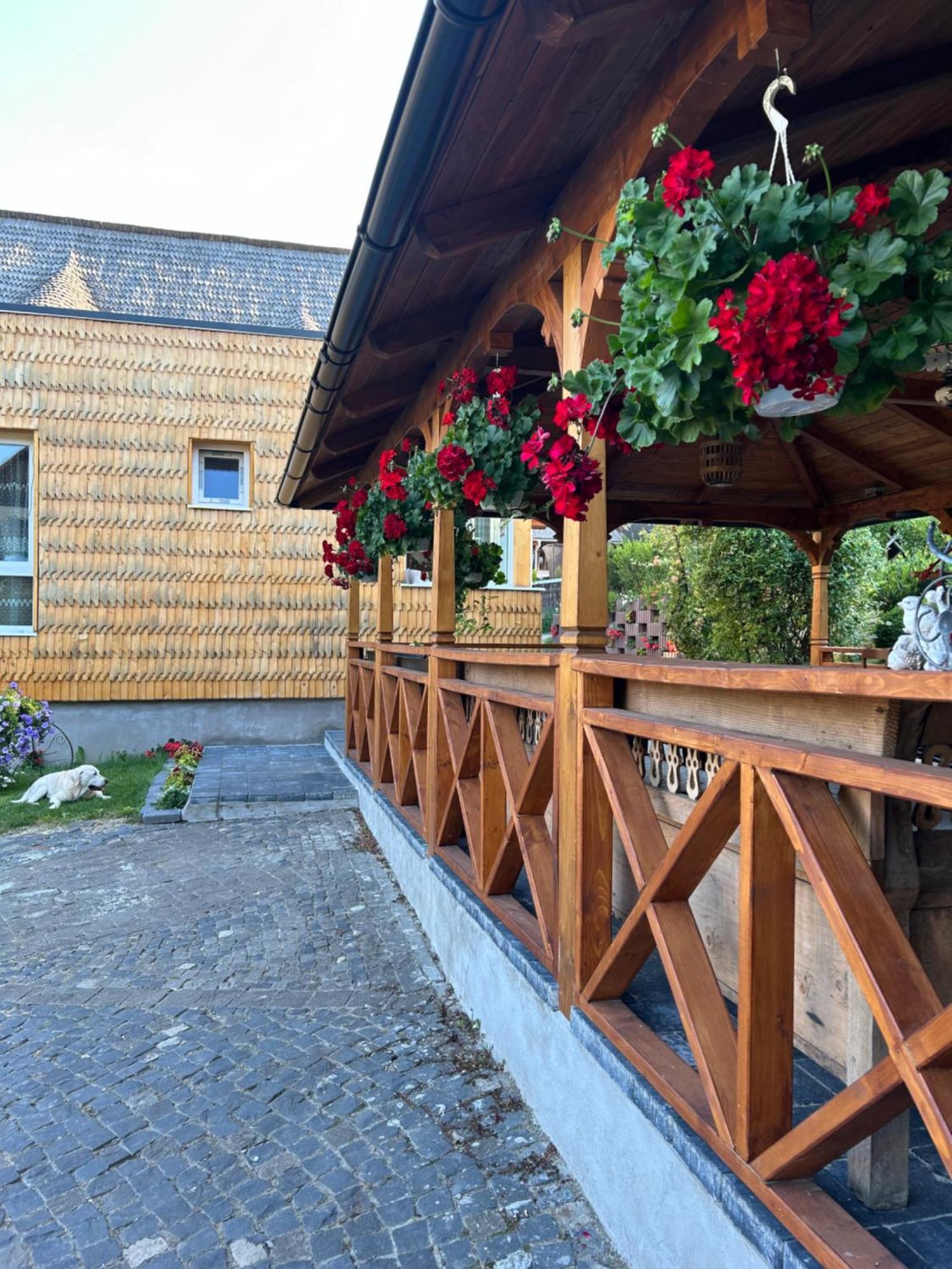 Готель Casa Cu Magnolii Поєніле-Ізей Екстер'єр фото