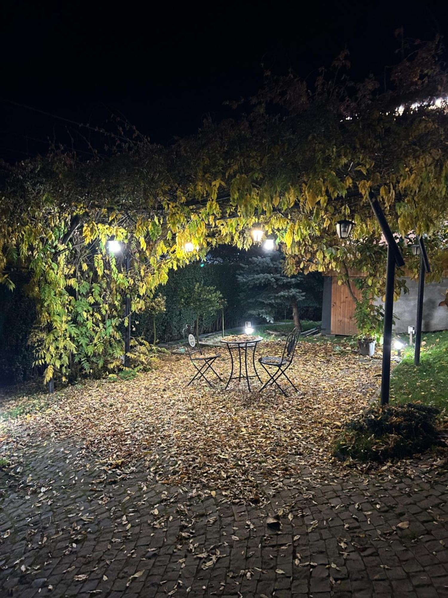 Готель Casa Cu Magnolii Поєніле-Ізей Екстер'єр фото